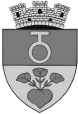 Primăria Ghimbav